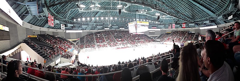 English:   Panoramic view of the crowd at w:Bojangles' Coliseum in w:Charlotte, North Carolina for Game 2 of the 2019 Calder Cup Finals between the w:Charlotte Checkers and the w:Chicago Wolves