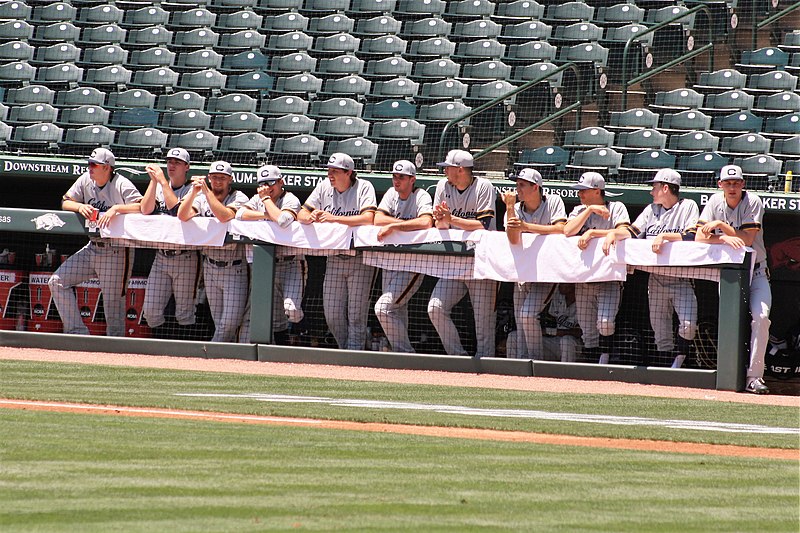 English:   Players for the 2019 Cal Golden Bears baseball team during their final game at Baum-Walker Stadium, Fayetteville, AR, Regional