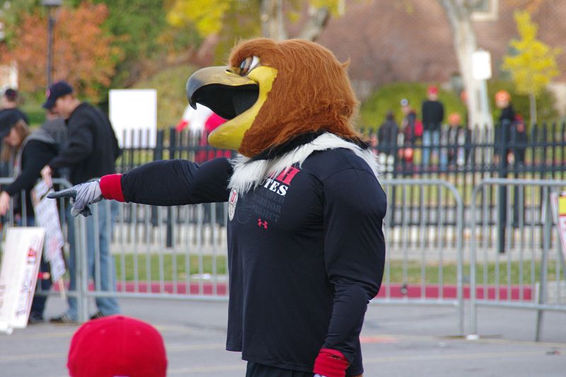 English:   Swoop the red-tailed hawk, the mascot of the Utah Utes (the athletics teams of the University of Utah)