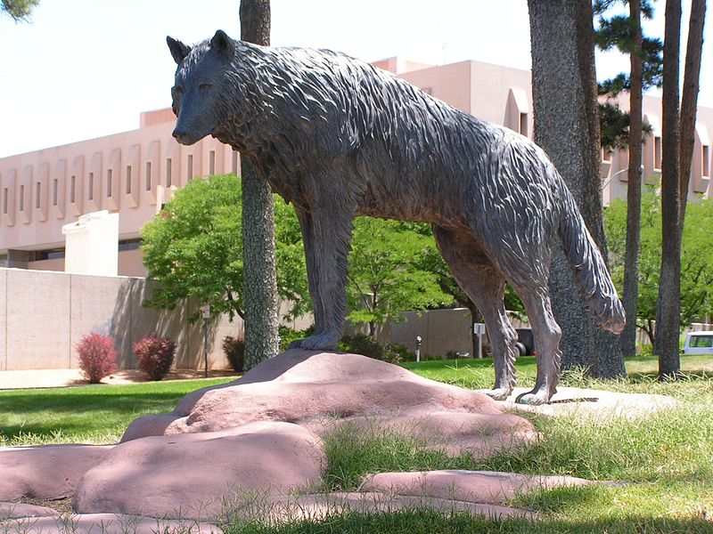 English:   Mascot for the University of New Mexico