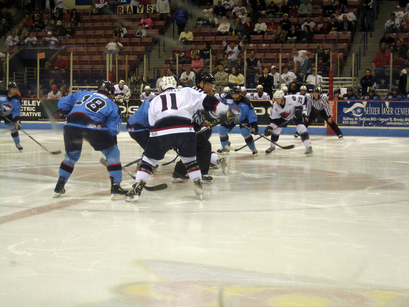 English:  The South Carolina Stingrays battle the Charlotte Checkers in round one of the 2009 Kelly Cup playoffs.